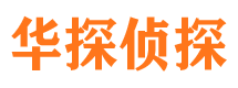 临城市私家侦探